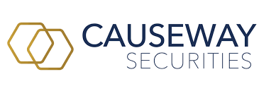 65c3d6a0f1c09546b56f1623 security